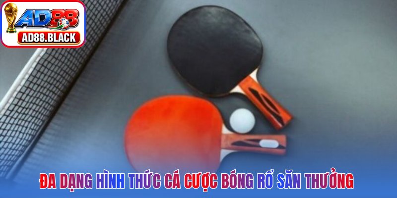 Đa dạng hình thức cá cược bóng rổ săn thưởng