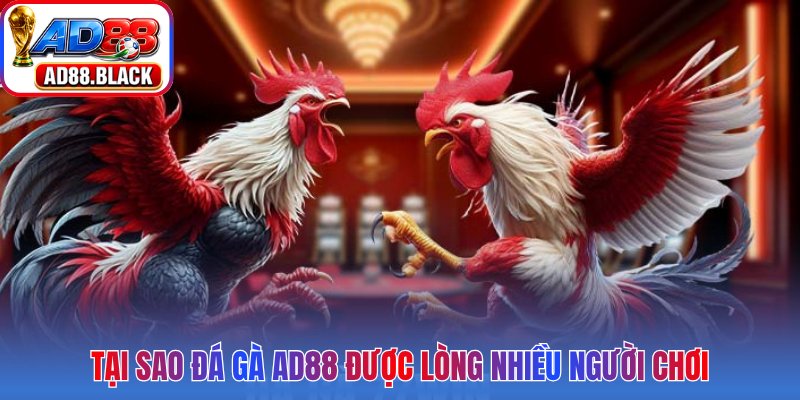 Tại sao đá gà AD88 được lòng nhiều người chơi